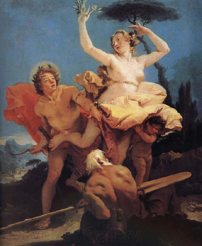 Giovanni Battista Tiepolo Apollo and Daphne France oil painting art